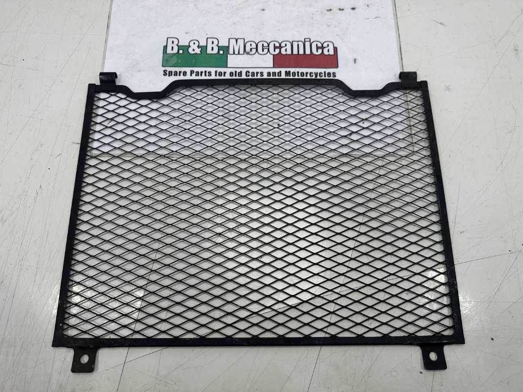 anR  Grill Stone Guard Radiator YAMAHA FZS Fazer 1000 (RS799) | eBay